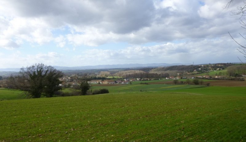 1ères Pédalées - CHAPONNAY le samedi 13 février 2016